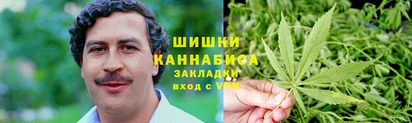 a pvp Пересвет