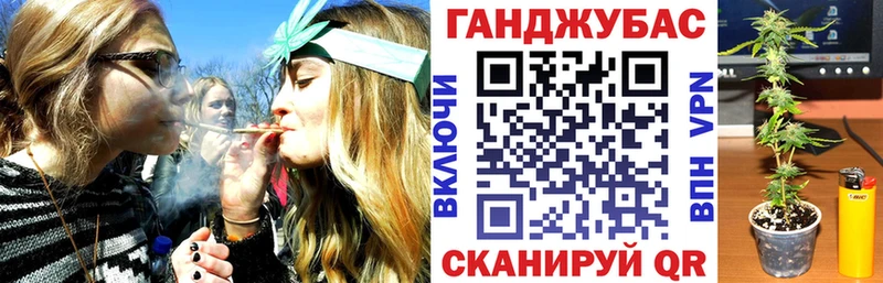 где можно купить Куйбышев Шишки марихуана VHQ